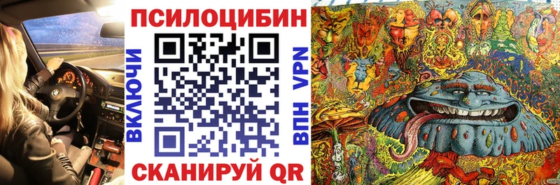 Галлюциногенные грибы Cubensis  Катав-Ивановск 